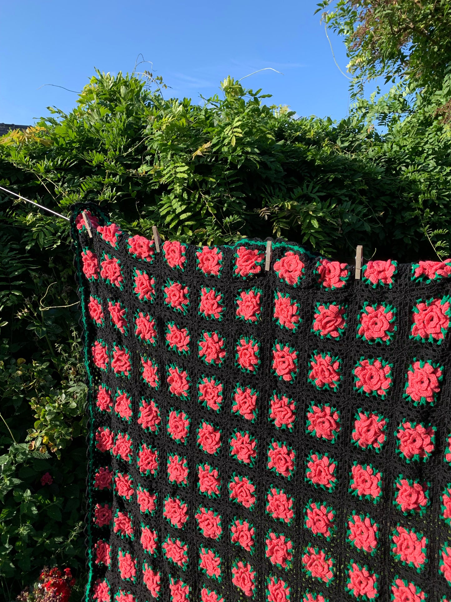 ROSEY Throw / Blanket