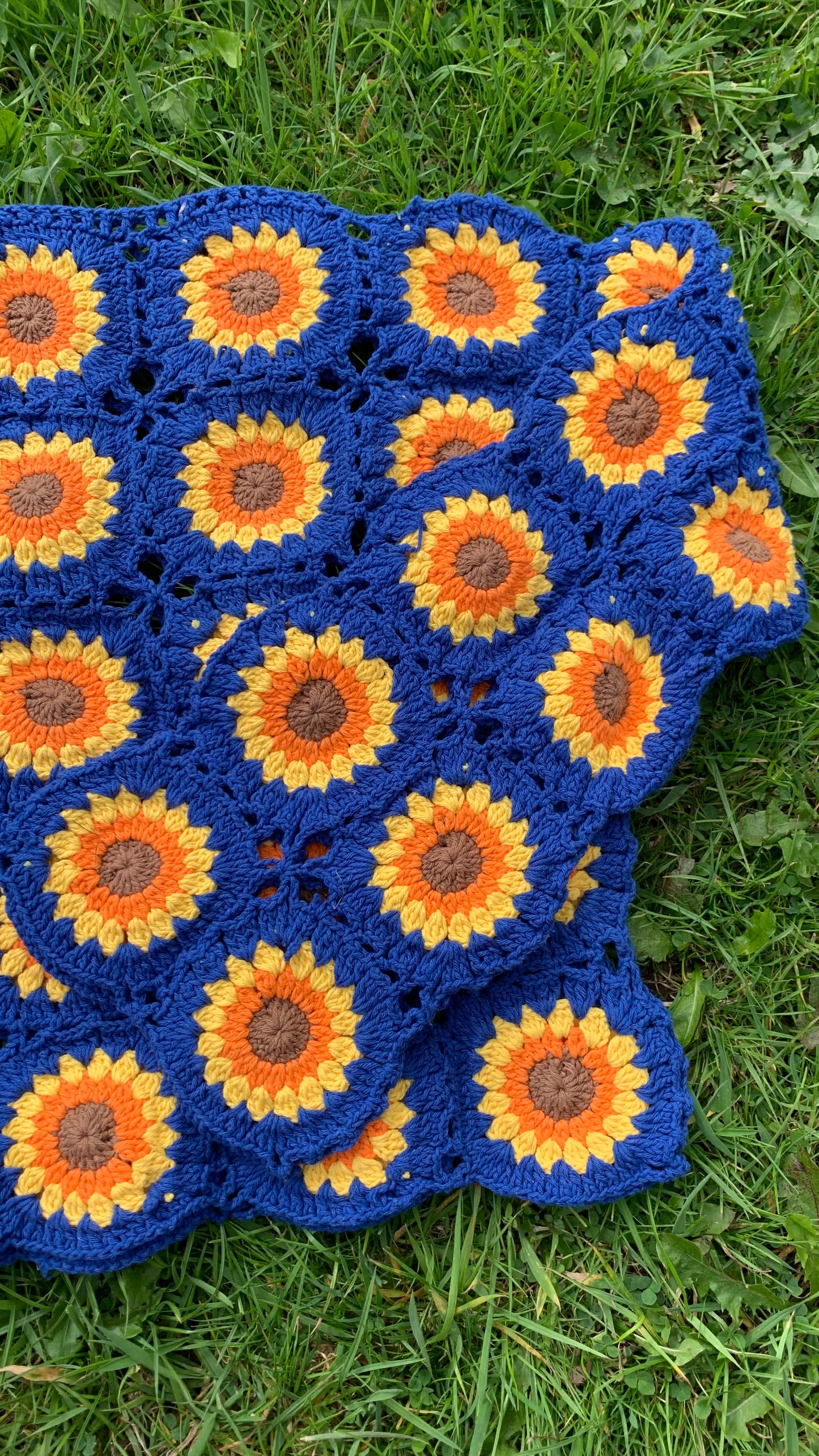 Sundance Kid in Blue Jumper