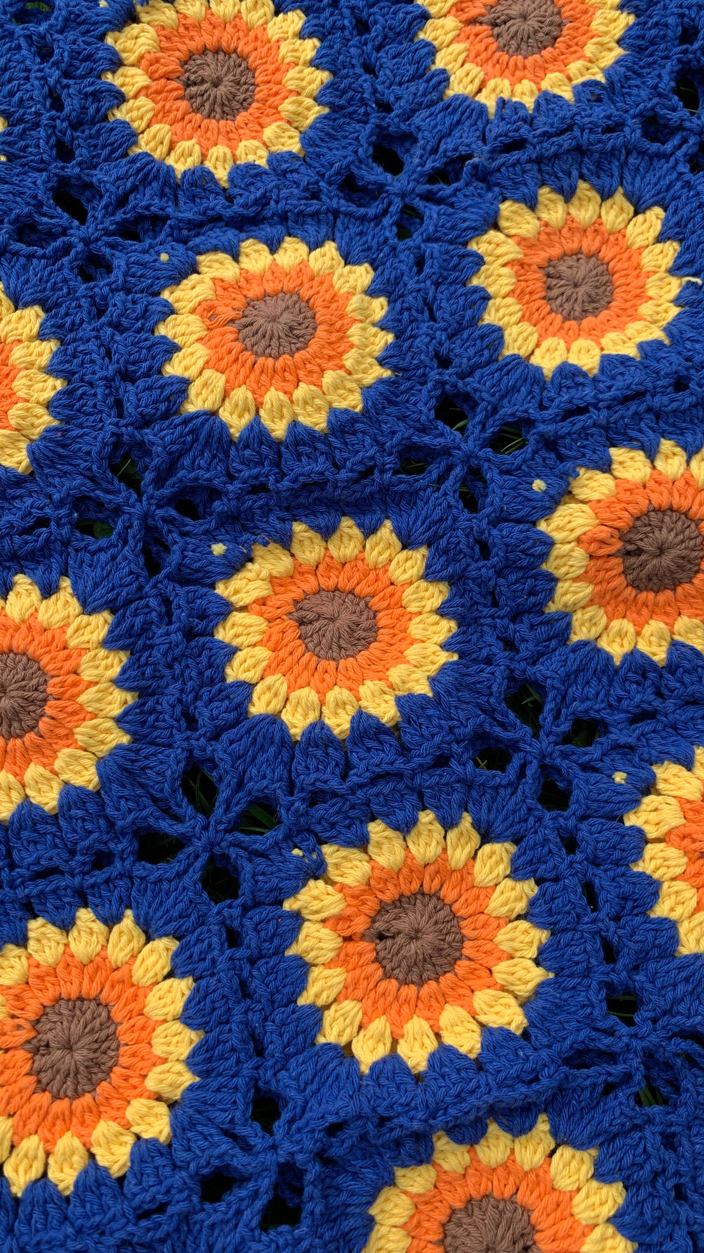 Sundance Kid in Blue Jumper